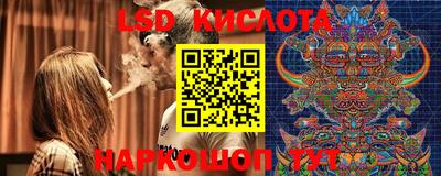 гидропоника Можайск