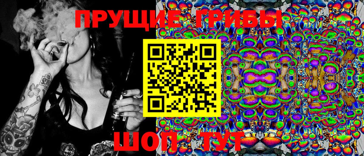 Псилоцибиновые грибы Cubensis Озёрск