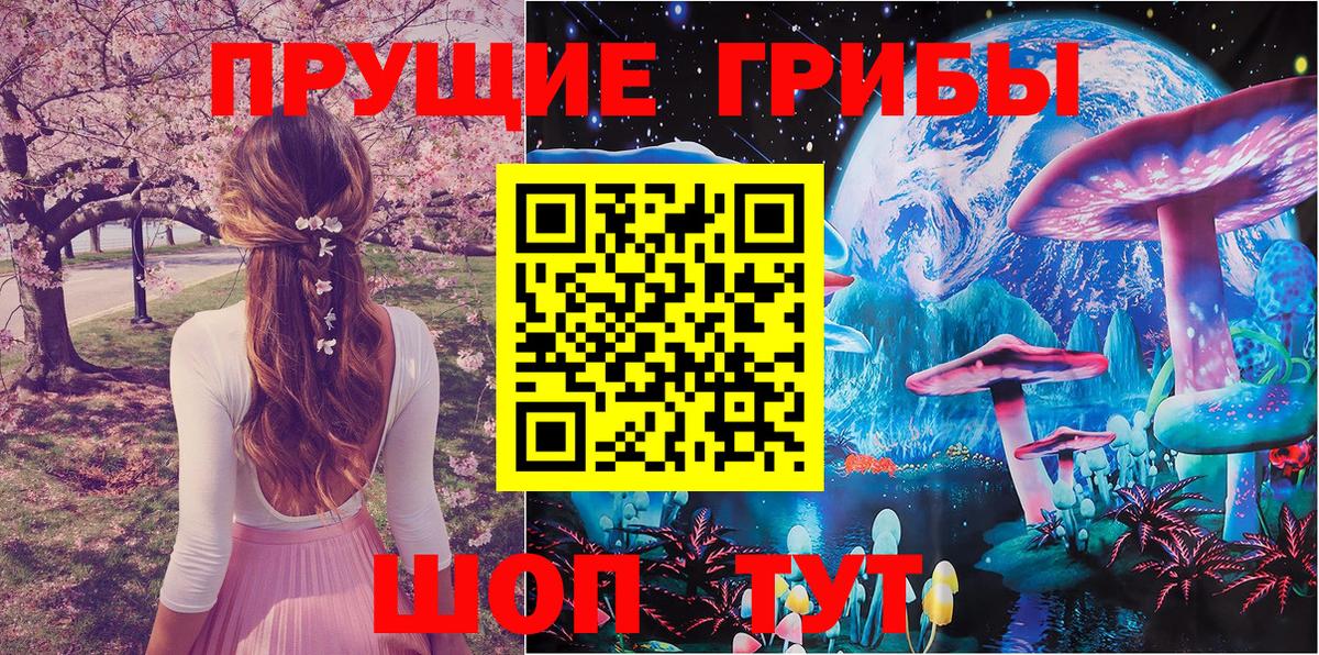 Озёрск  Галлюциногенные грибы мухоморы  Вход с VPN 